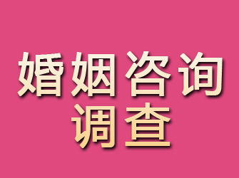 泰安婚姻咨询调查